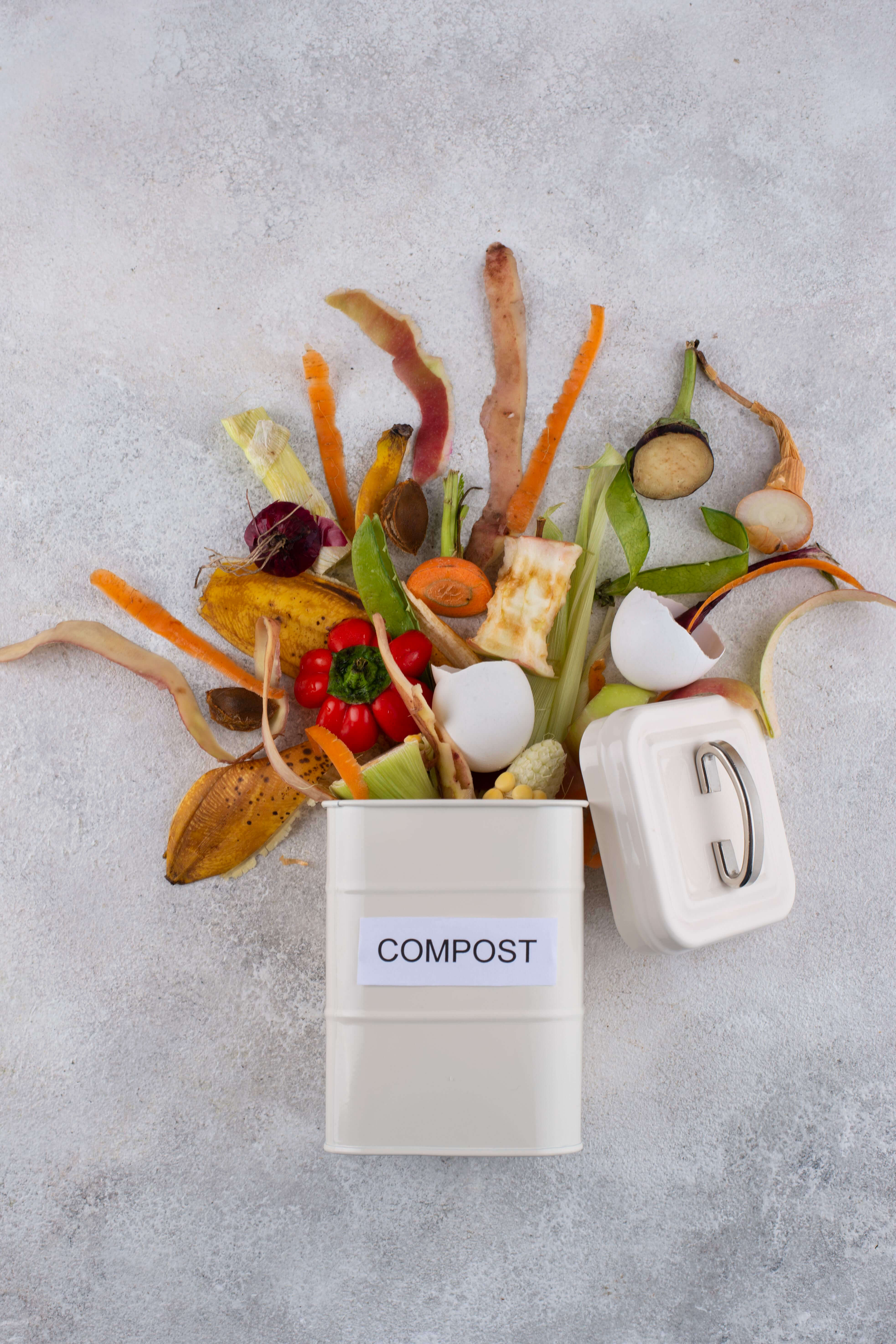 Organic Food Waste Management